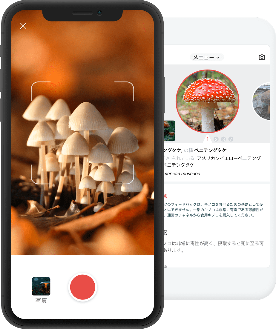 this is a product img