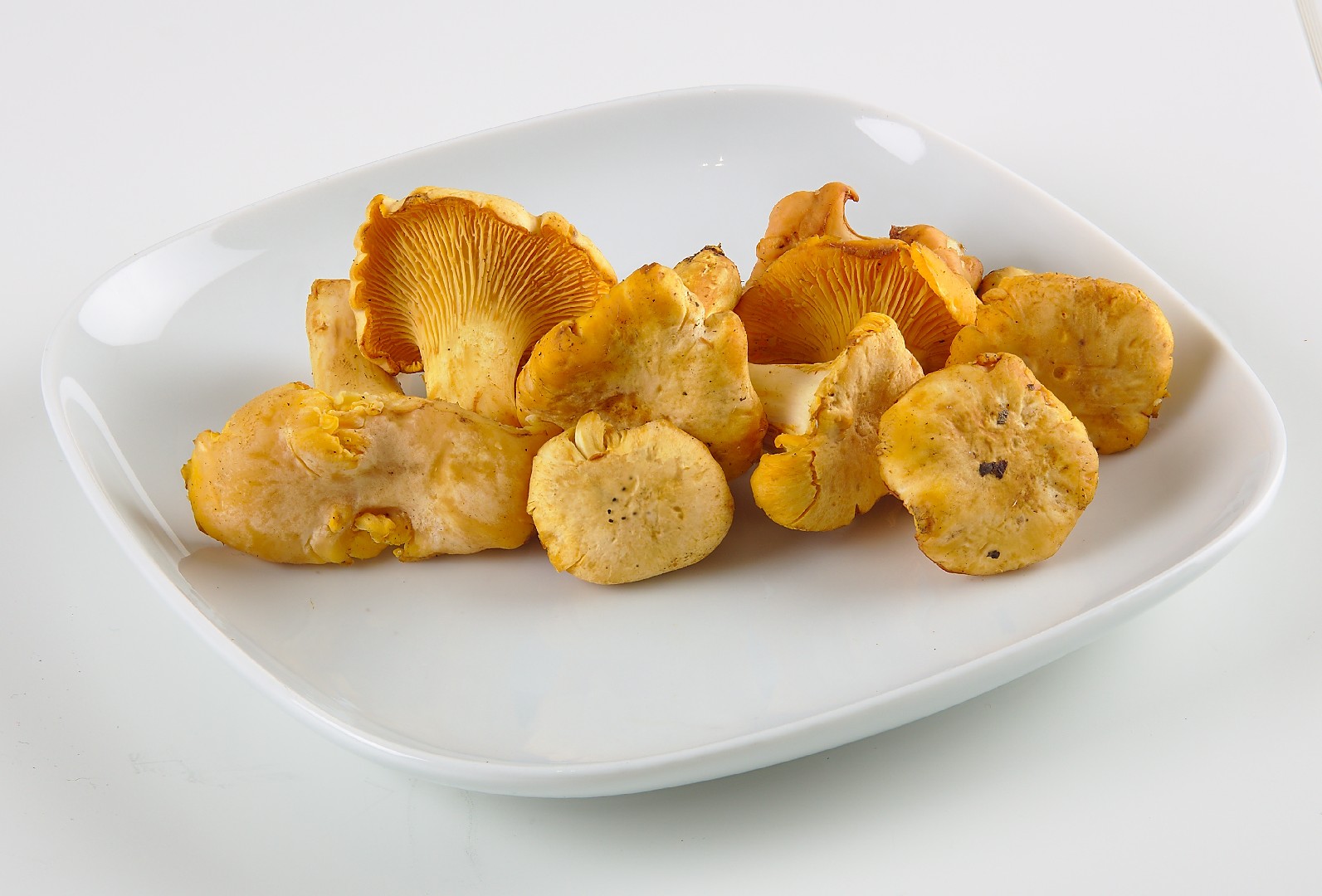 アンズタケ 杏茸 見分け方 Picture Mushroom